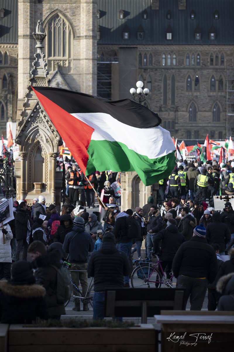 terrafkamal's tweet photo. Ottawa   25 /11 / 2023 https://t.co/H2vbiuTF6i