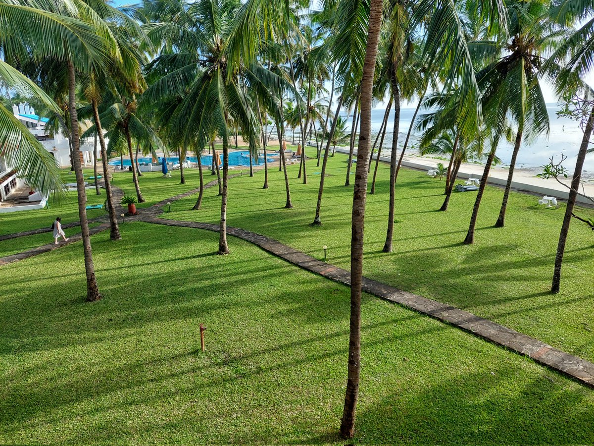 George Jillo tweet media