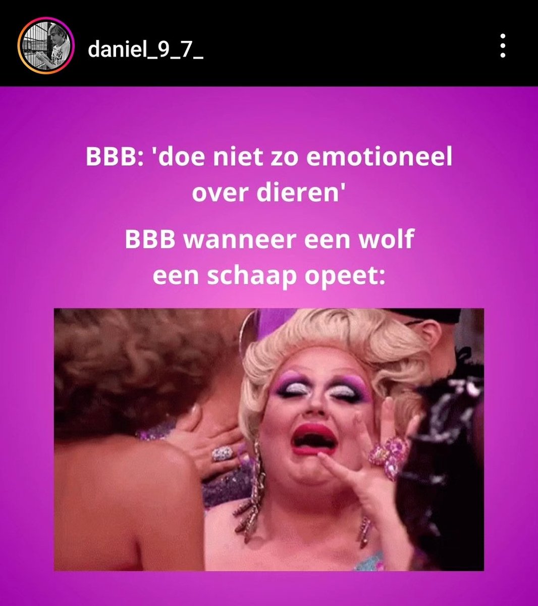 De politiek van #BBB hoor 👇🏽😅 #Goedemorgen