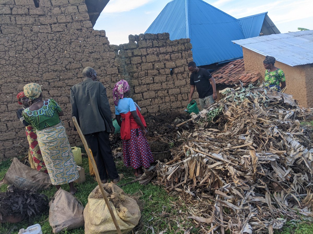 DieudonneEdwin's tweet photo. Transforming our garden with the power of Effective Microorganisms! 🌱 Embracing a sustainable approach to soil health and plant growth. @CrsRwanda @OroraWihaze @FAORwanda @CorpsAfricaRda @ryaf_agribiz @farmertofarmer 
#sustainablegardening
#thiscorpsafrica
#localhelpinglocals https://t.co/IFRrZpz0qC