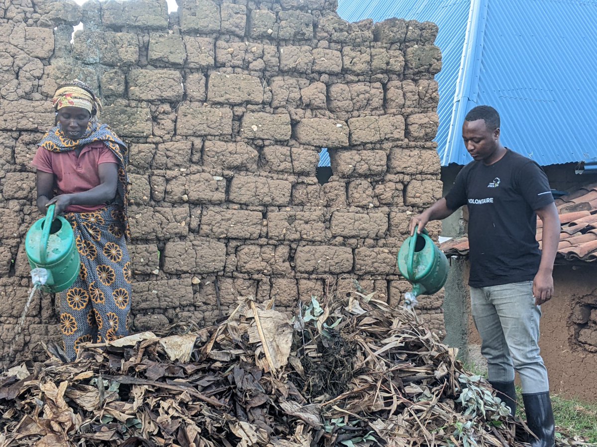 DieudonneEdwin's tweet photo. Transforming our garden with the power of Effective Microorganisms! 🌱 Embracing a sustainable approach to soil health and plant growth. @CrsRwanda @OroraWihaze @FAORwanda @CorpsAfricaRda @ryaf_agribiz @farmertofarmer 
#sustainablegardening
#thiscorpsafrica
#localhelpinglocals https://t.co/IFRrZpz0qC
