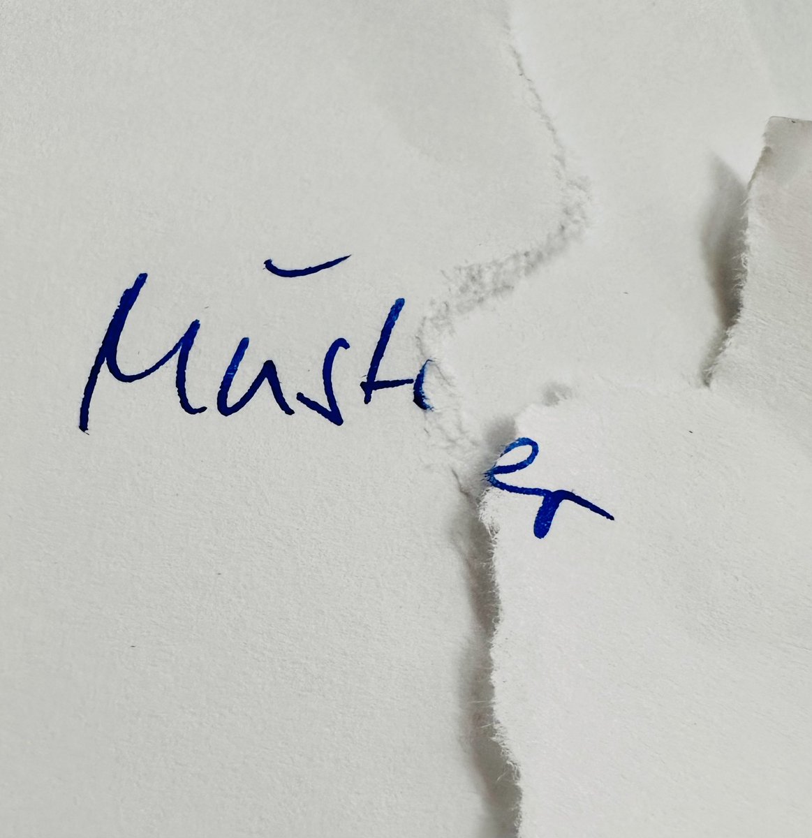 #JedeWocheEinFoto

KW 48/23
Musterstück