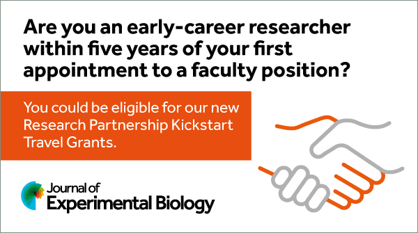As part of our #JEB100 celebrations, we have funded two new travel grants to help young faculty: Research Partnership Kickstart Travel Grants biologists.com/grants/kicksta… and ECR Visiting Fellowships biologists.com/grants/ecr-vis… Deadline for applications: 1 Dec 2023