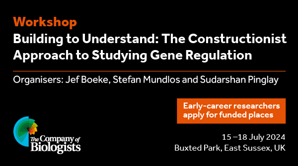 Funded places are available for early-career researchers at our Workshop 'Building to Understand: The Constructionist Approach to Studying Gene Regulation' organised by @JefBoeke, @sudpinglay & @StefanMundlos. Find out more and apply at biologists.com/workshops/july…