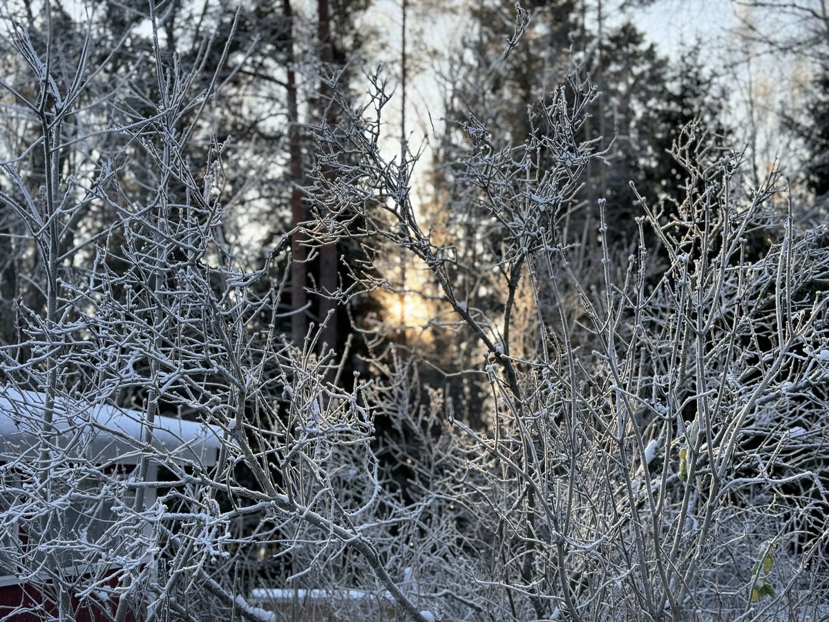 MoisioJuha's tweet photo. Winter day colours. Not all is black and white. #halmela #hajala @Salonkaupunki https://t.co/Nsi2AroQhB
