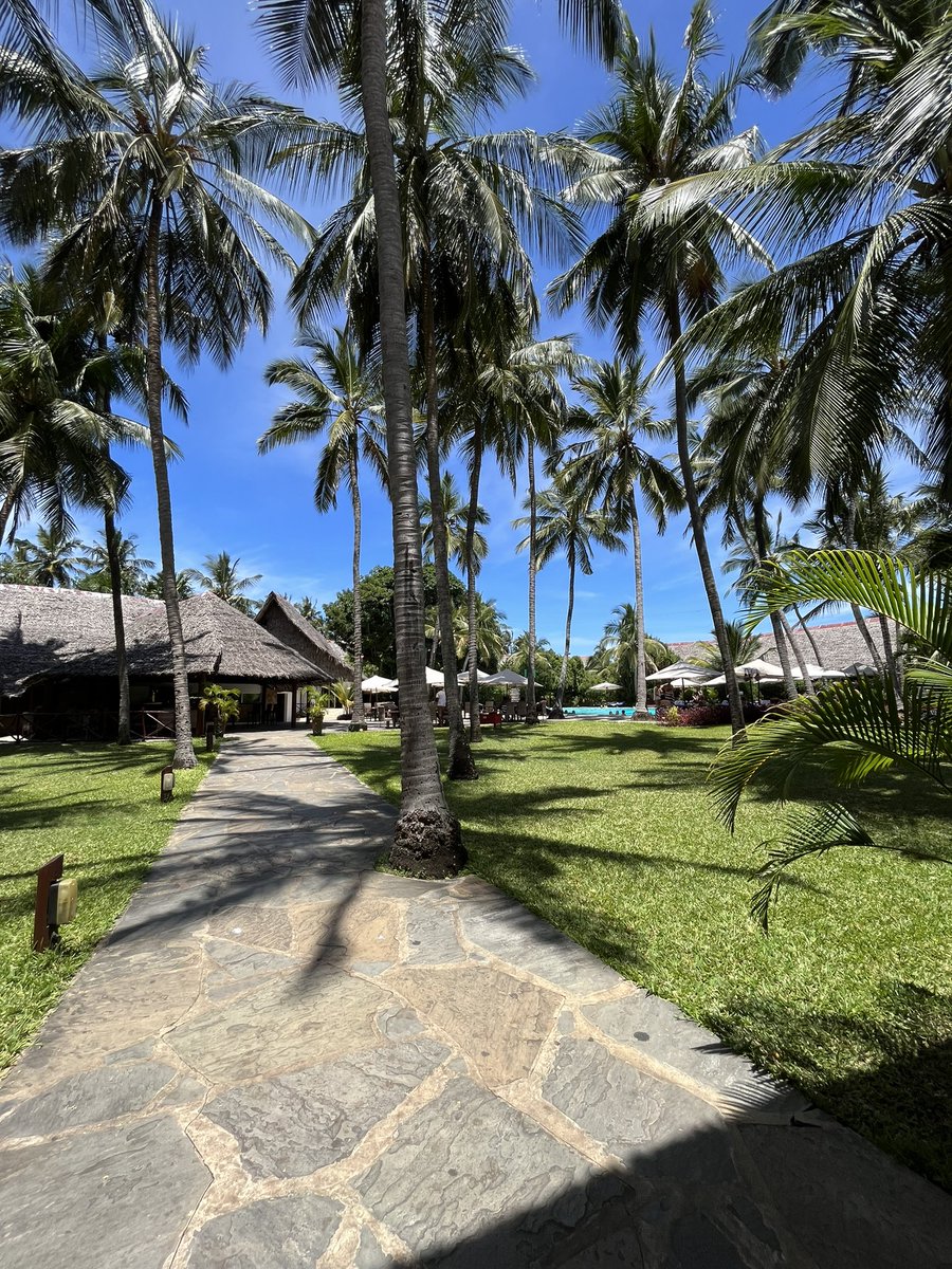 VoyagerBeach_Ke's tweet photo. This is your Monday reminder, that you can handle whatever this week throws at you. π βΊοΈ
.
.
#ExploreVBR #Journeywithheritagekenya https://t.co/DgUNOW0uqs