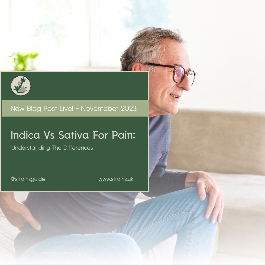 Indica or Sativa for pain relief? Dive into the world of cannabis strains and discover which one might suit your needs best. From calming Indica to uplifting Sativa, discover their effects, advantages, and more. 🍃 

bud.how/ta7