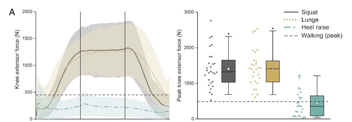 What do we know about joint loading in people with knee OA and varus during 3 weightbearing exercises?

Are squats, lunges &amp; single-leg heel raises heavier to perform than walking a few meters? That's what <a href="/scott__starkey/">Scott Starkey</a> (2022) examined. Check it out in our App or on our website