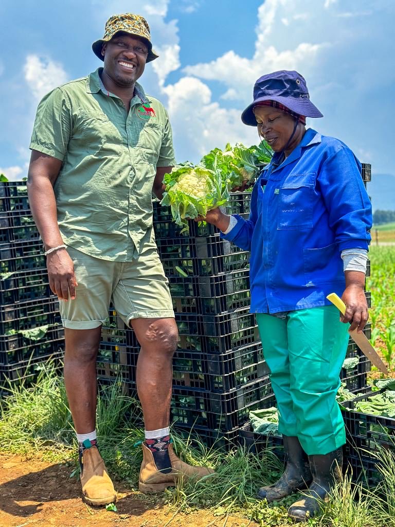 ndela farming tweet media