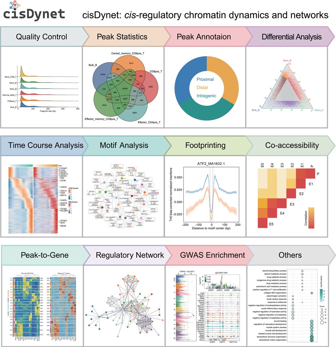 iMetaScience's tweet photo. cisDynet: An integrated platform for modeling gene‐regulatory dynamics and networks 
#Bioinformatics #ATACseq #RNAseq #network #R #visualization
@wileymicrobio @wileyinresearch @WileyBiomedical   https://t.co/7vcaD3yFdi https://t.co/S22Uso62kP