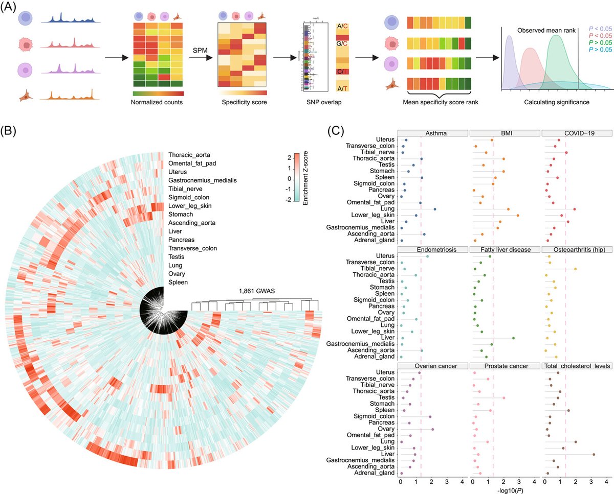 iMetaScience's tweet photo. cisDynet: An integrated platform for modeling gene‐regulatory dynamics and networks 
#Bioinformatics #ATACseq #RNAseq #network #R #visualization
@wileymicrobio @wileyinresearch @WileyBiomedical   https://t.co/7vcaD3yFdi https://t.co/S22Uso62kP