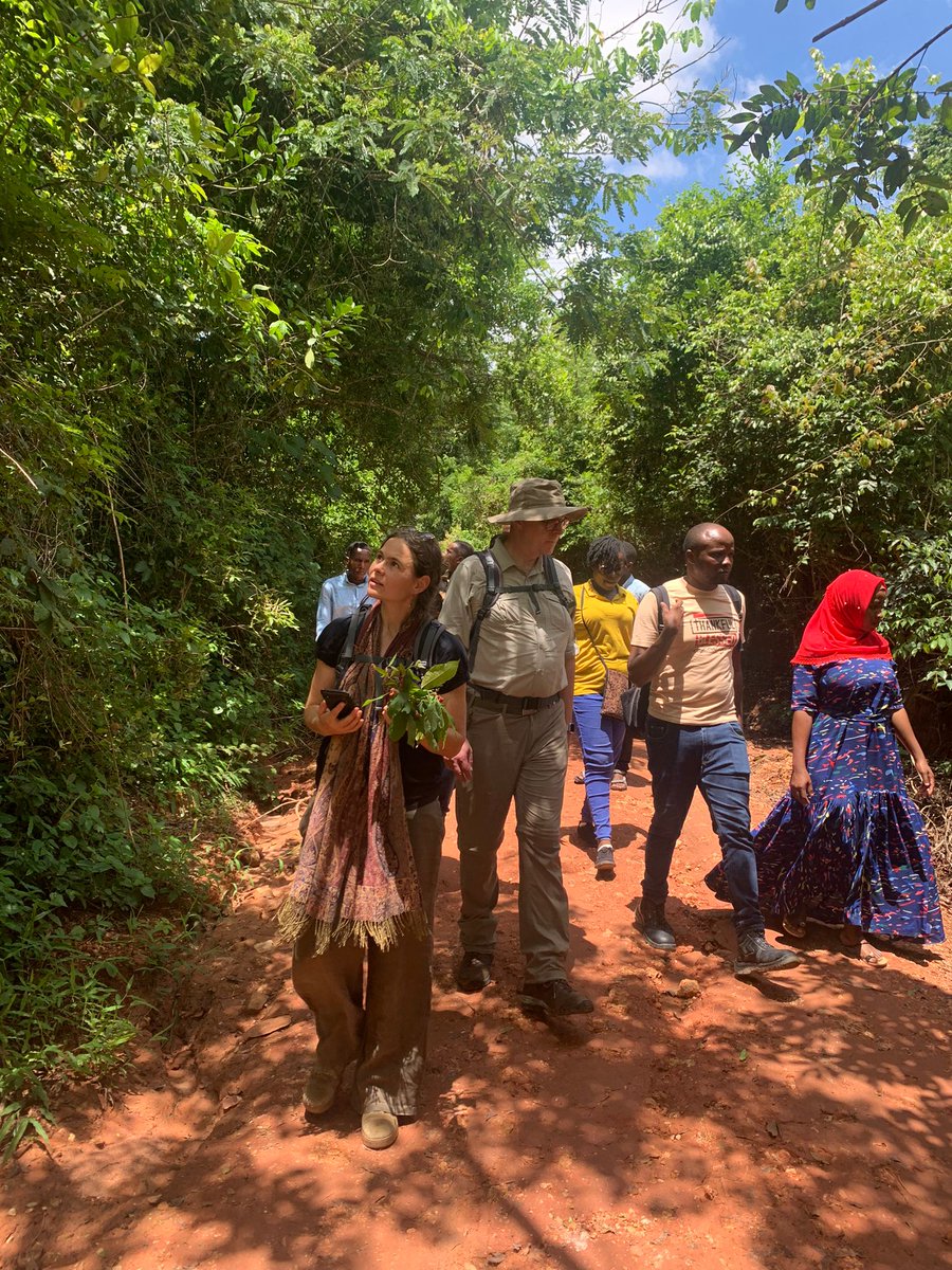Botanischer Garten Hamburg tweet media