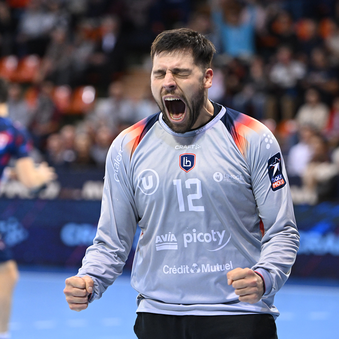 Ligue Nationale de Handball tweet media