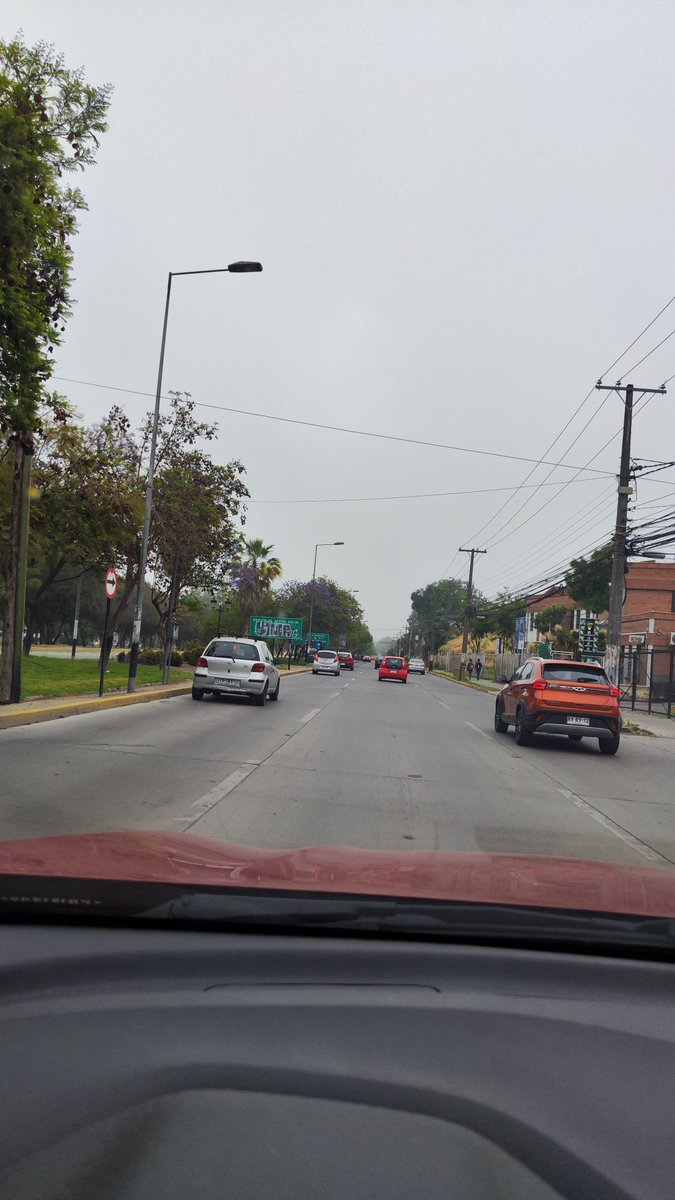 Claudio Cáceres tweet media