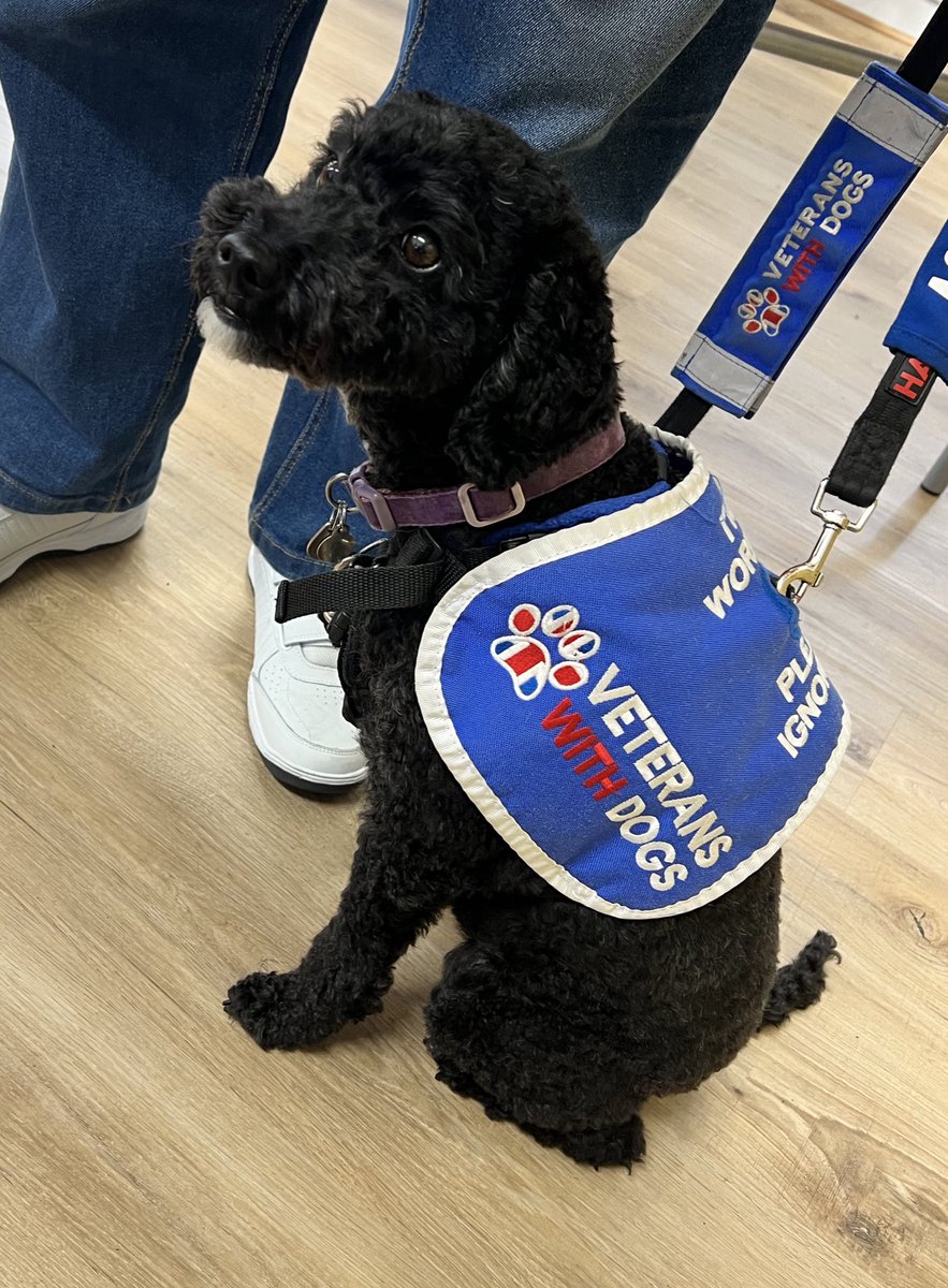 Monmouthshire Veterans' Support Hub tweet media