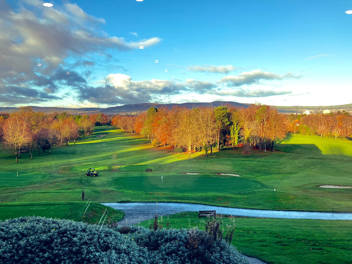 Matt Peace tweet media