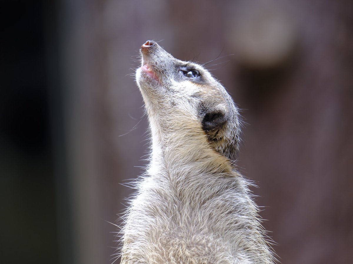 .

僕の場合は体調的背景もあるので予防線を張って未来に必達目標を置かずに今ここで幸せであることを目的に生きるようにしていますが、他の人たち、特に色んな挑戦が可能な人たちが夢や目標を持ってそれらが叶うことを願って努力している姿は清々しいですしいいなと思っています😊

Thank you✨🍀

.