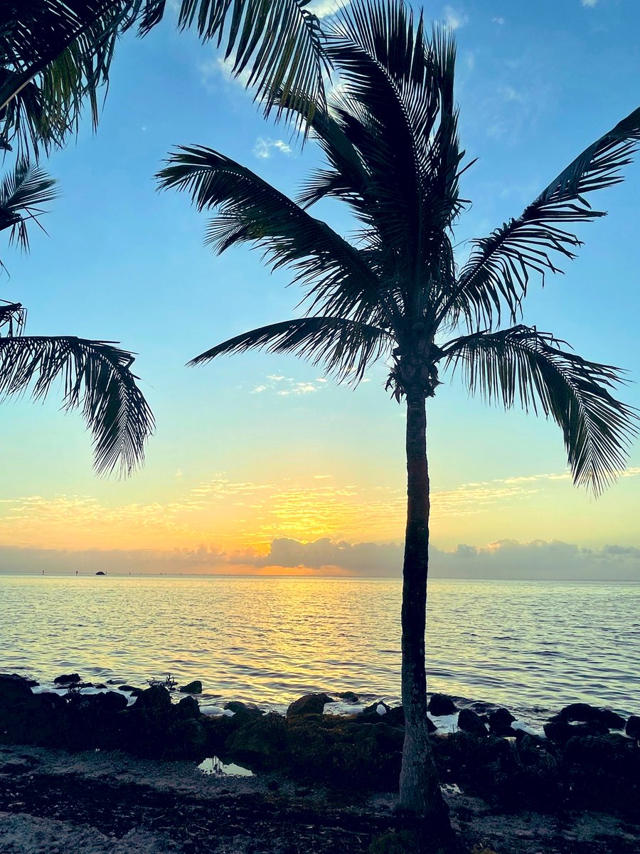 Jami Lyne-author&poet 🕊️on social media break tweet media