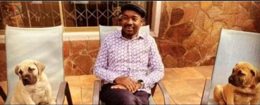 Chamisa and his deputies!!

Ndiri kumunzwira tsitsi nezvandanzwa nhasi.