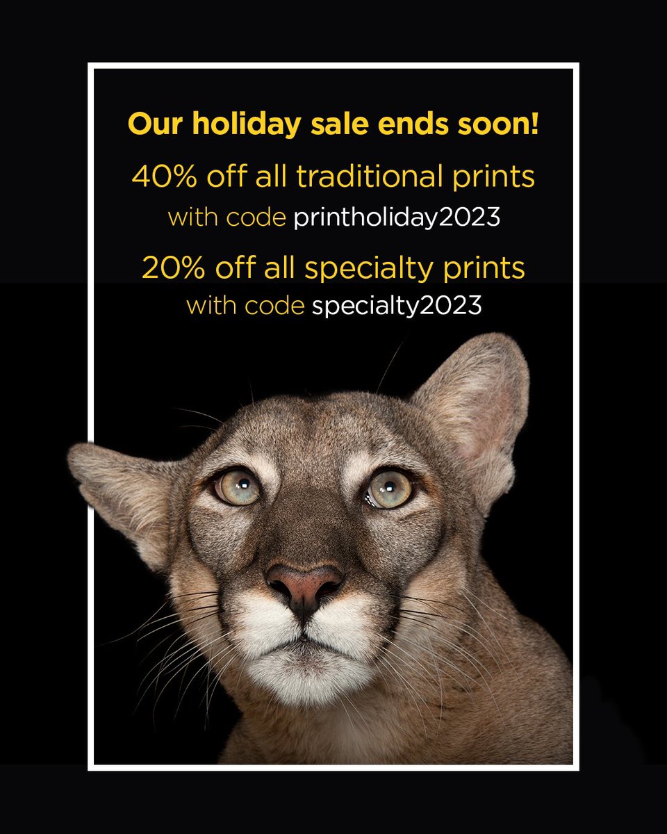 Time is running out - don’t miss your chance to support the Photo Ark this holiday season. Click the link to order your favorite prints before the clock strikes midnight! joelsartore.com/gallery/holida…