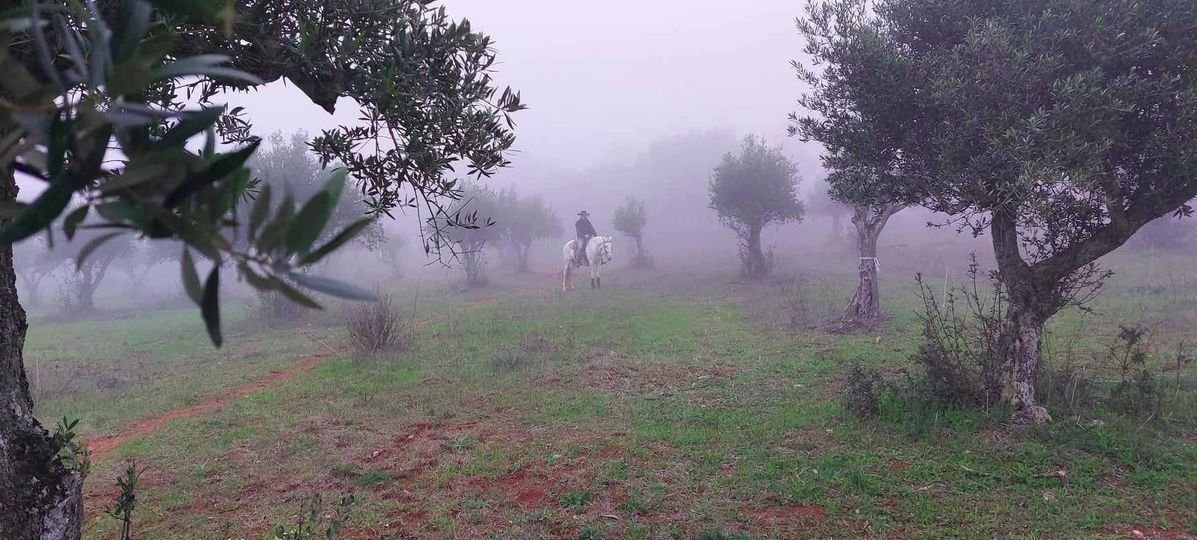 It was yet another very nice clinic. Thank you all.
Hope to see you all soon again.
Link to clinic: fb.me/e/42z45micC