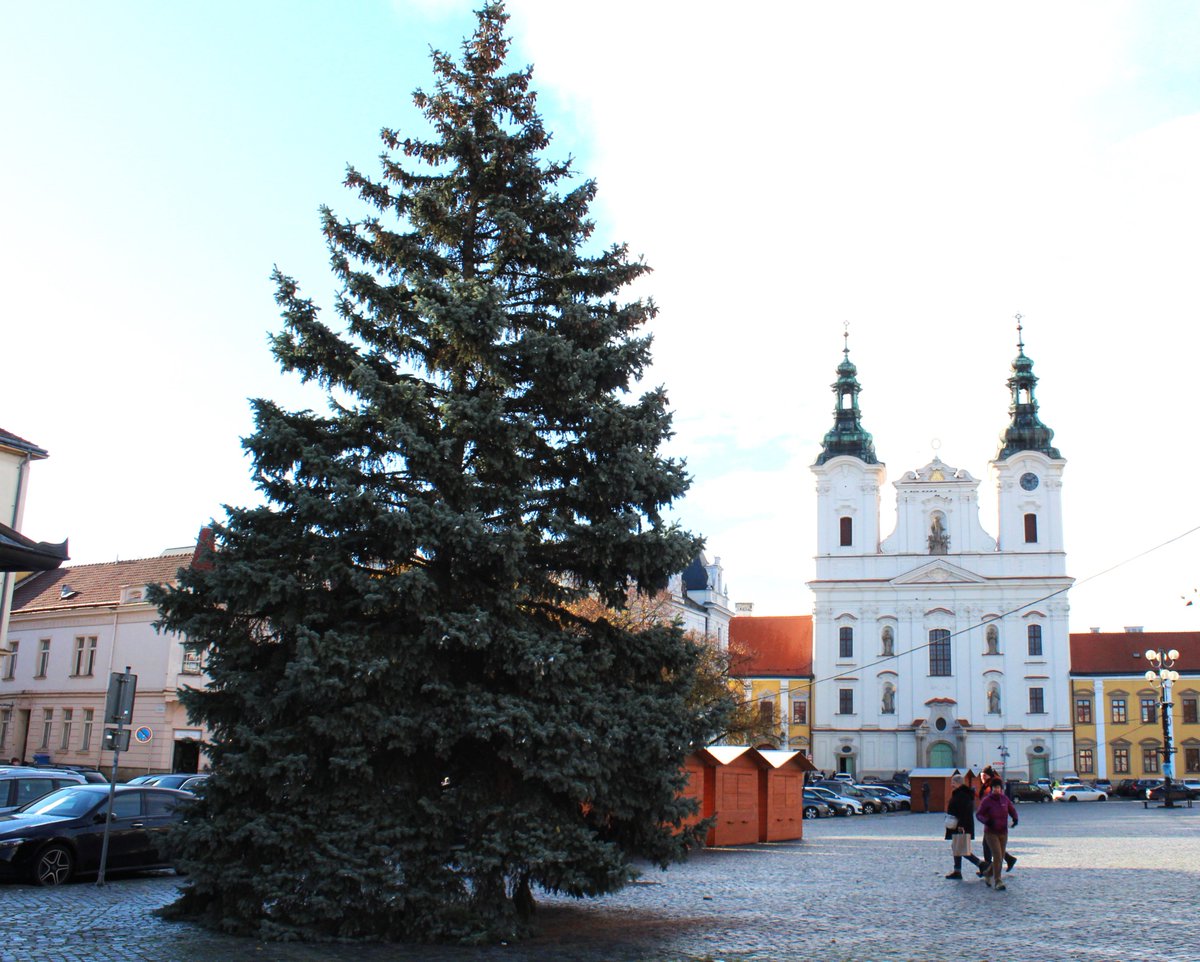 Vánoční strom v <a href="/UHradiste/">Uherské Hradiště</a> už stojí na Masarykově náměstí a čeká na nazdobení. V pátek 1. prosince se slavnostně rozsvítí. Více zde: 1url.cz/2uTXo