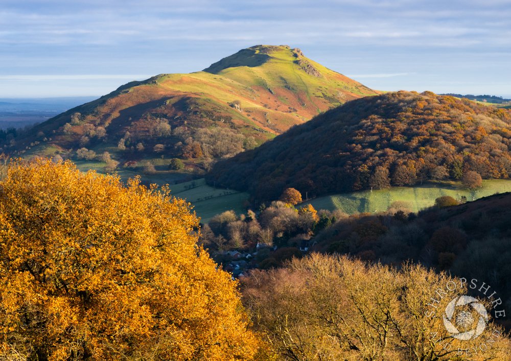 We’re nearly into December, but the autumn colours are still breathtaking. This is early morning on Caer Caradoc and Helmeth Hill, seen from the summit of Ragleth. Despite the sunshine it was decidedly chilly, but the #Shropshire landscape was looking at its very best.