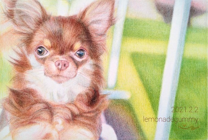 #動物モチーフであふれる幸せ 動物もたまに描いています#色鉛筆 #色鉛筆画 
