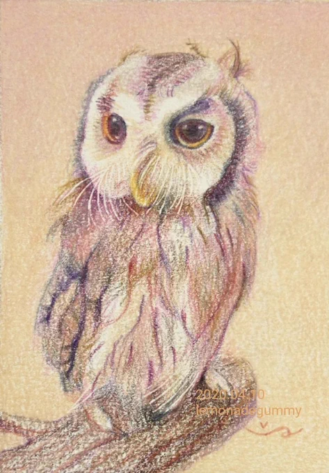 #動物モチーフであふれる幸せ 動物もたまに描いています#色鉛筆 #色鉛筆画 