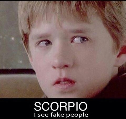 Scorpio_Factz's tweet photo. #Scorpio sees everything. 👀 https://t.co/ynr89IvrpD
