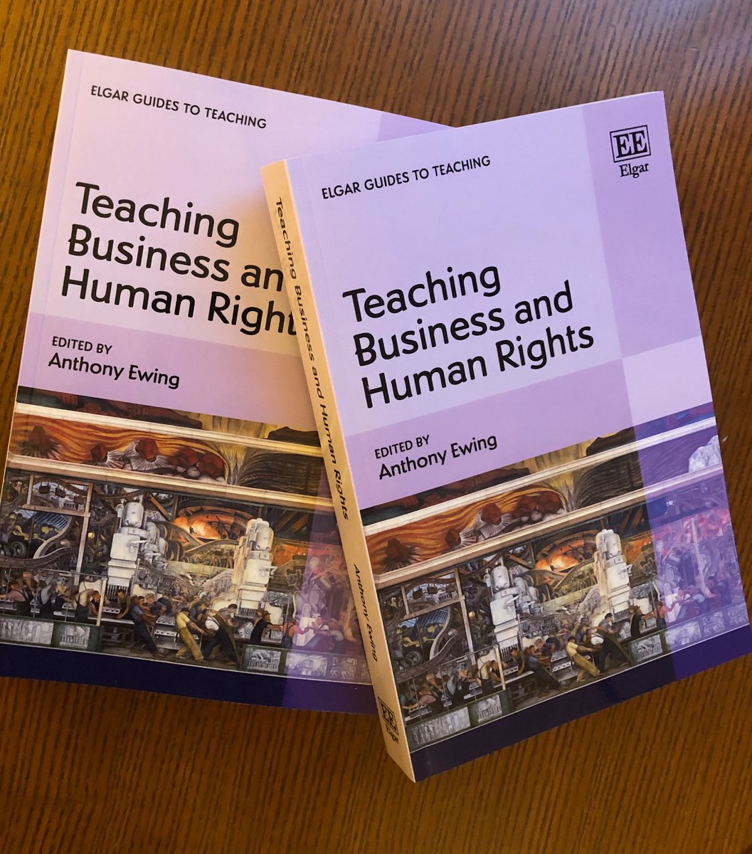 Wonderful to see so many #bizhumanrights colleagues at the 12th (!) #UNForumBHR. Good timing for the paperback edition of Teaching Business and Human Rights. <a href="/ElgarPublishing/">Elgar Publishing</a> #teachBHR