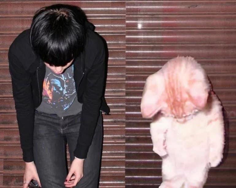 Alejandro tweet media