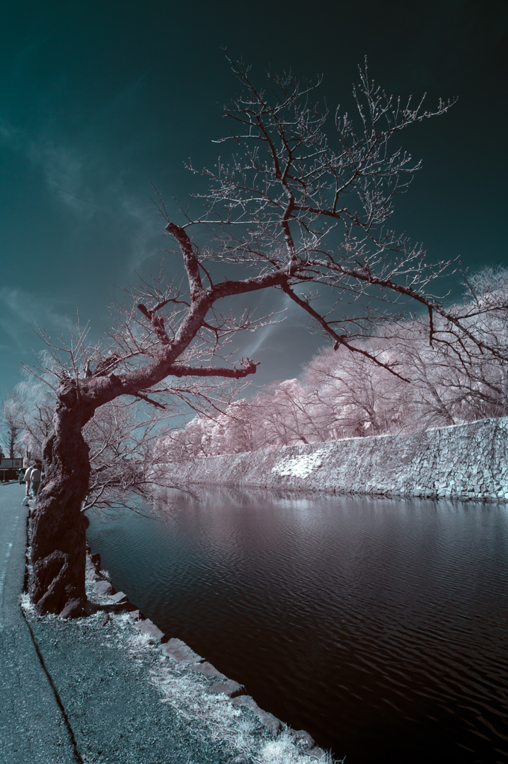 Yay, just submitted my art for Stratosphere Art Basel 2023. This is one benefit of being part of the Stratosphere community. Thank you for the opportunity <a href="/Sabet/">sabet</a>, @Layerrxyz, <a href="/BuildOnBase/">Base Build</a>