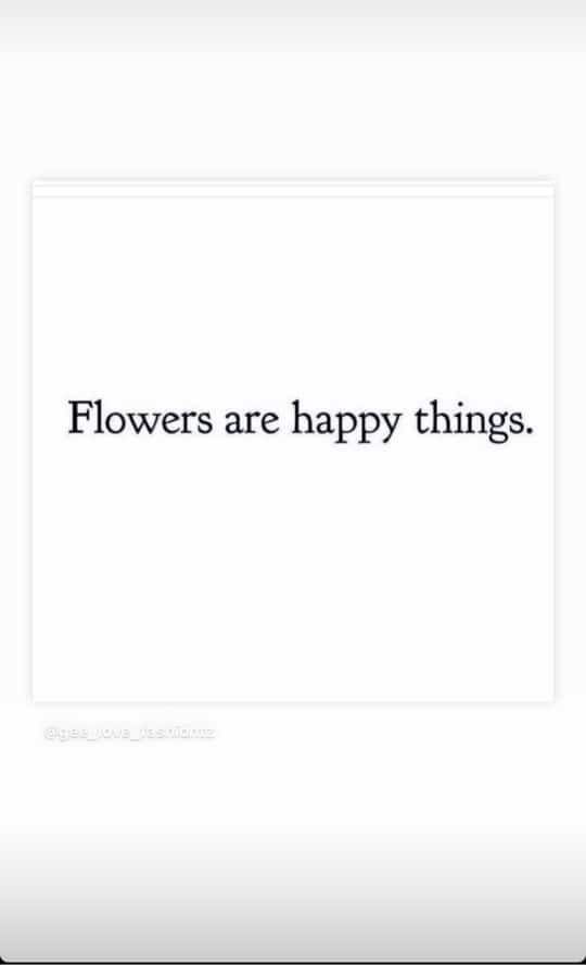 MaleiNancy's tweet photo. Somebody, I need roses https://t.co/NJAjf46F6C