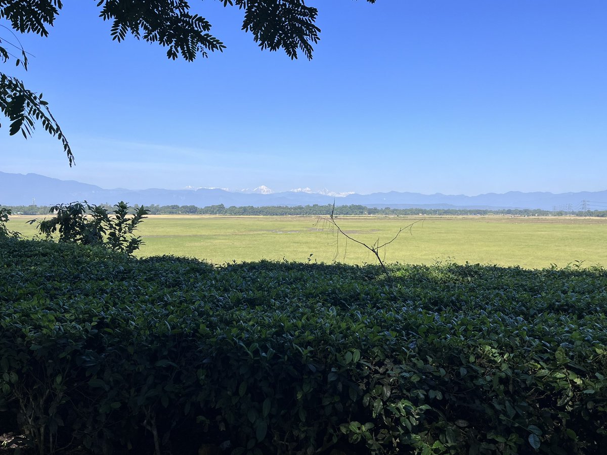 AniKool81's tweet photo. Road trip+green tea gardens+nature+togetherness= Bliss https://t.co/LEtJKyc50J