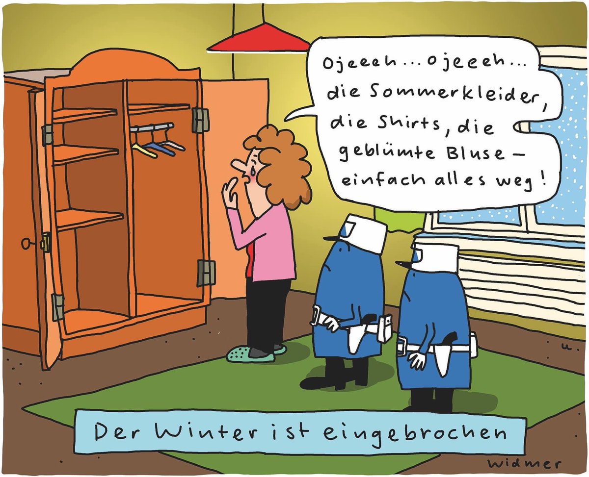 (Tages-Anzeiger, 25.11.23) #winter #wintereinbruch #polizei #stadtpolizeizürich #sommerkleider #cartoon #tagesanzeiger #ruediwidmercartoons