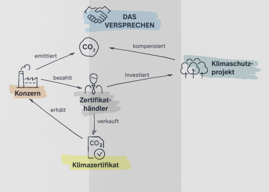 Claudia Weiler tweet media