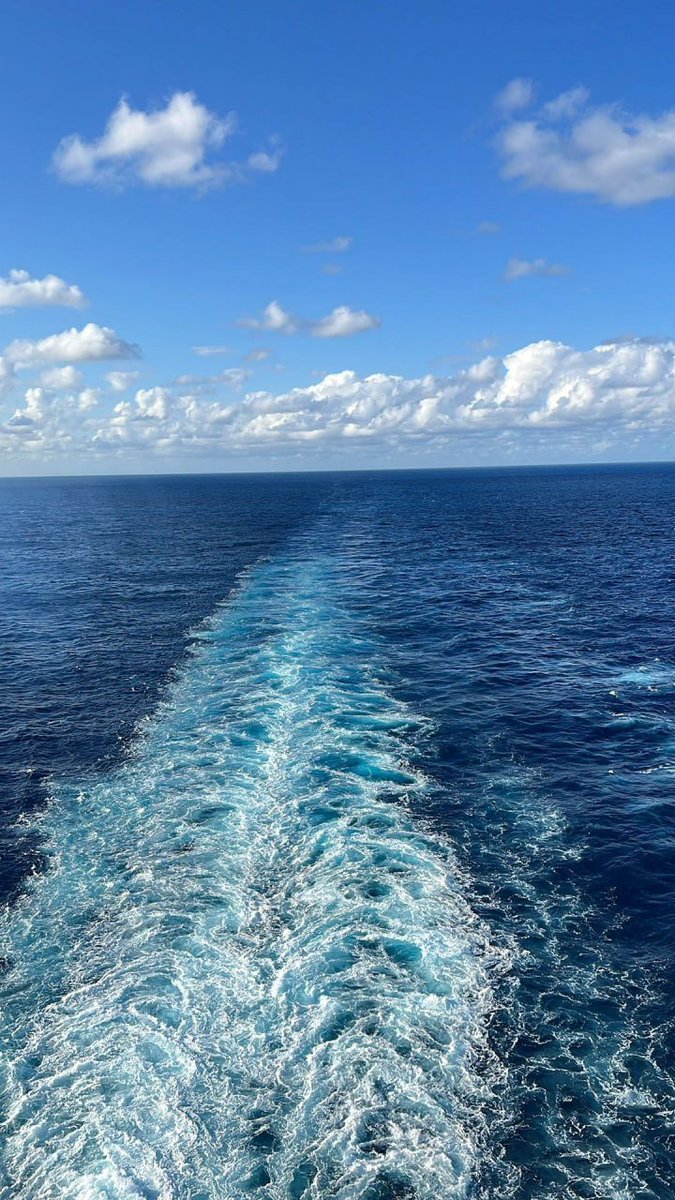 watermelon (@savioloho) on Twitter photo 