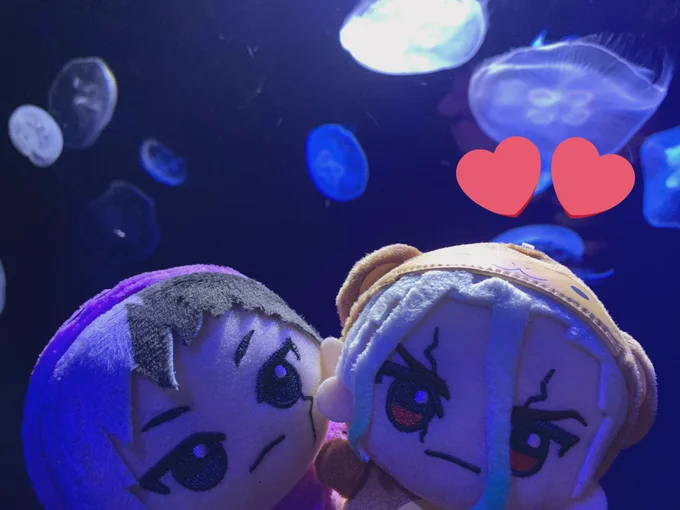 千ゲにもたくさんクラゲ見せてあげた 癒される 