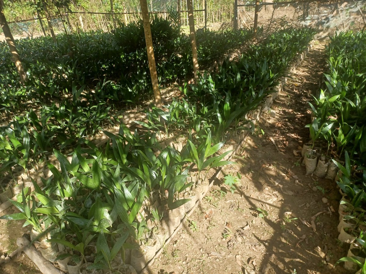 My first small business plan😁😁