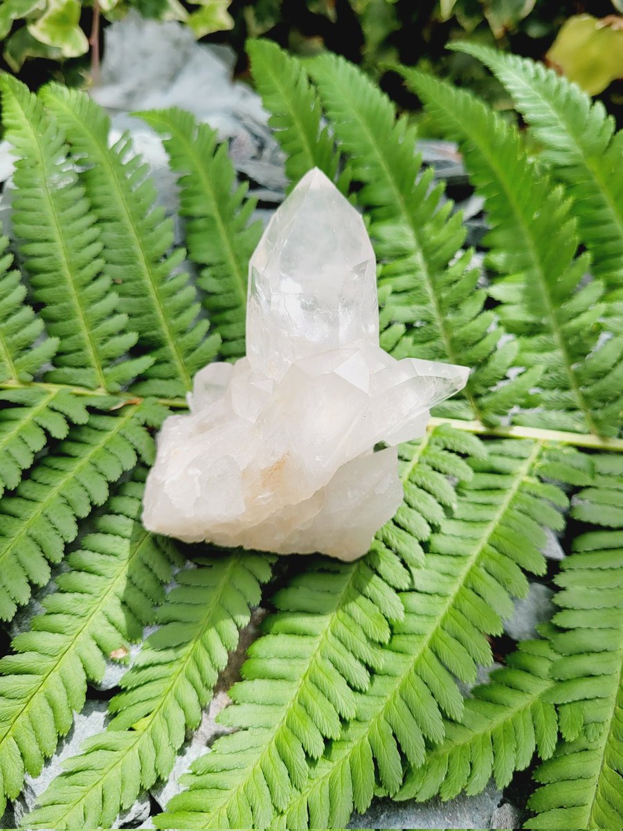 Clear quartz has been used for centuries by various cultures for their ability to enhance spiritual, emotional, and physical well-being. #MHHSBD #christmas2023 #ChristmasGifts #etsygifts #SmallBiz #crystals #calm campbellmcgregor.etsy.com/listing/151099…