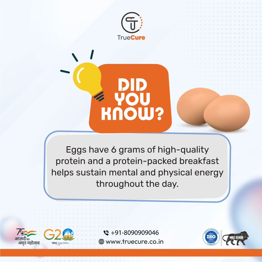 true_cure's tweet photo. 🥚💪💡   
    #DidYouKnow that eggs are a great source of high-quality protein? 🍳   Adding a protein-packed breakfast to your day can help keep you energized   both mentally and physically! 🌞 #HealthyStart #FuelForTheDay   #Truecure https://t.co/xvBIne3dBV
