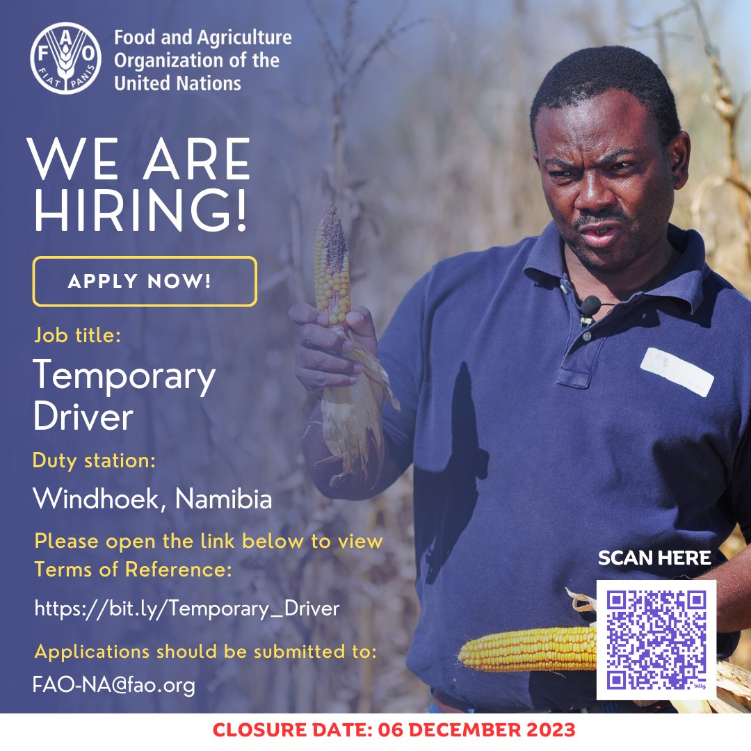 📢 Calling all experienced drivers!🚗 We're seeking a Temporary Driver to join our team at @FAONamibia🇳🇦. If you have a valid Namibian driver's license, a clean record, and experience driving in urban and rural areas, apply now! View the vacancy here👉 bit.ly/Temporary_Driv…