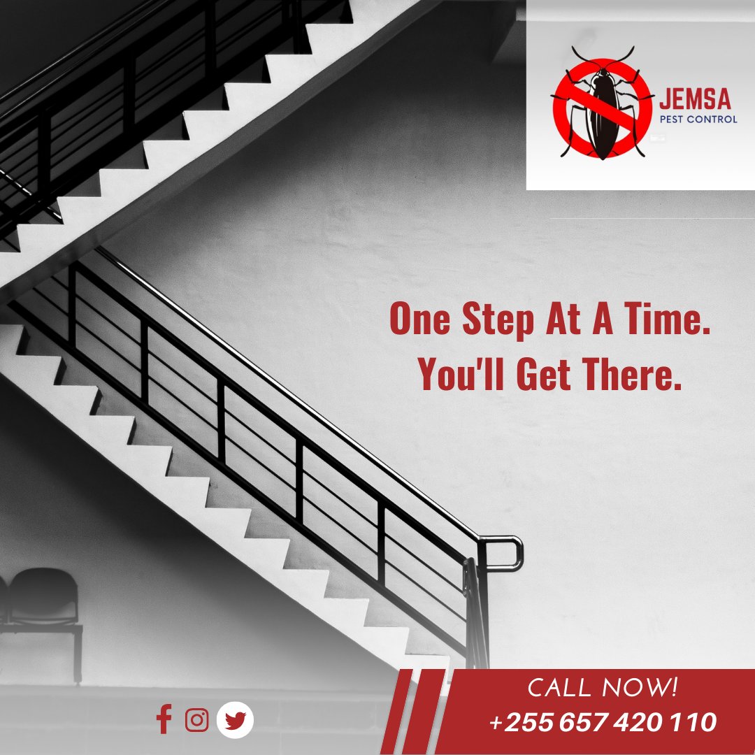 JemsaPest's tweet photo. Progress is made one step at a time. Keep moving forward, and you'll reach your destination. Wishing you a prosperous week.

#monday #newweek #keepmovingforward #dontgiveup #newchances #anythingispossibe #goodmorning #mondaymorning #daressalaam #tanzania #jemsapestcontrol https://t.co/Js2Hj37Vru