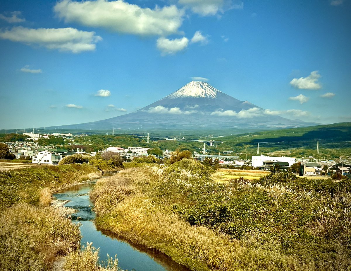 Miguel Torres tweet media