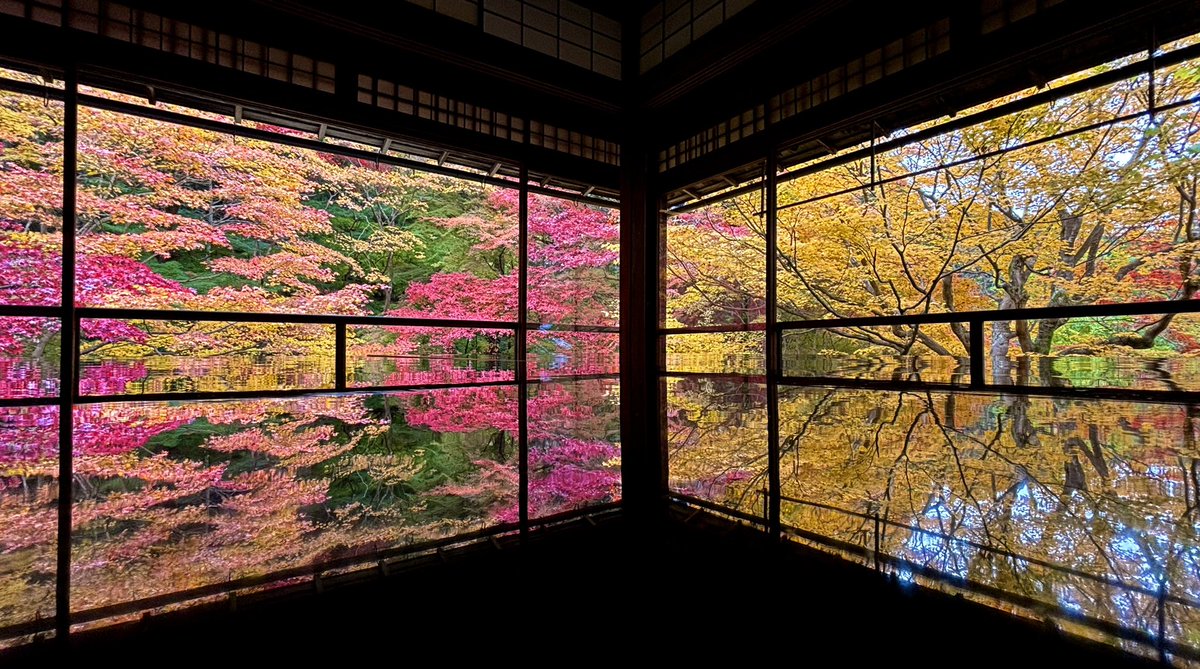 Miguel Torres tweet media