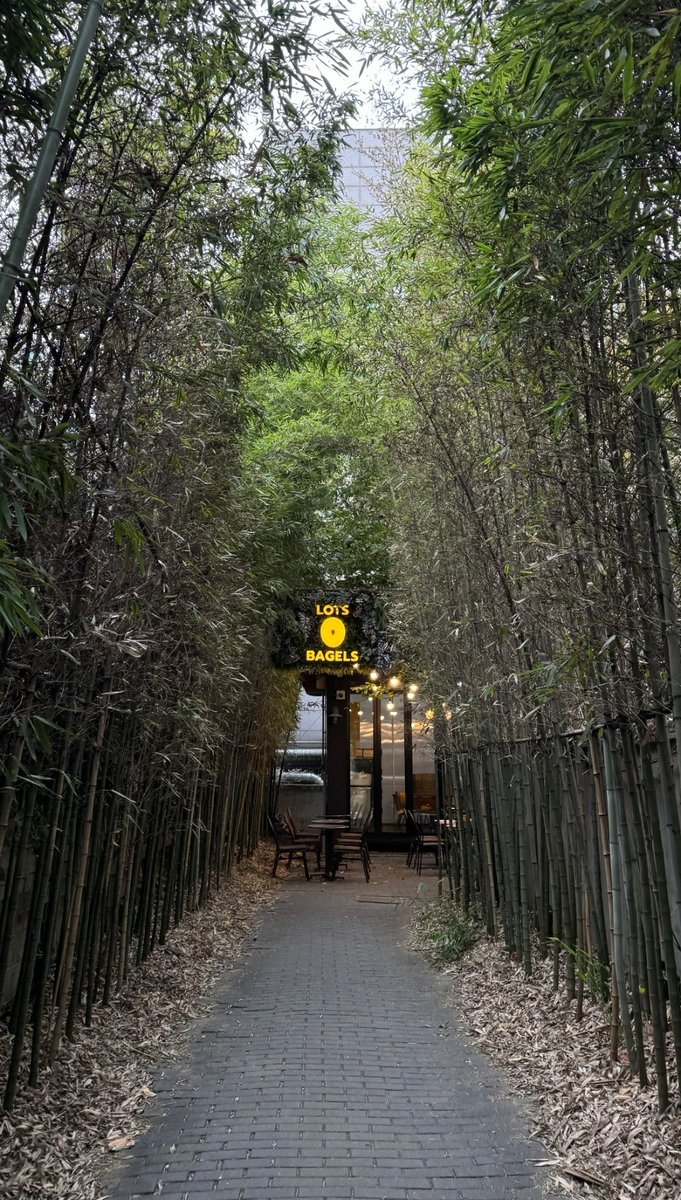 baekmani_world's tweet photo. [🌱.📸] 20231126 Instagram Story

#V1LLION #1MILLION #1million_v1llion #ROOT #v1llion_ROOT #빌리언 #원밀리언 #루트 #빌리언_루트 https://t.co/X0F792T1ur