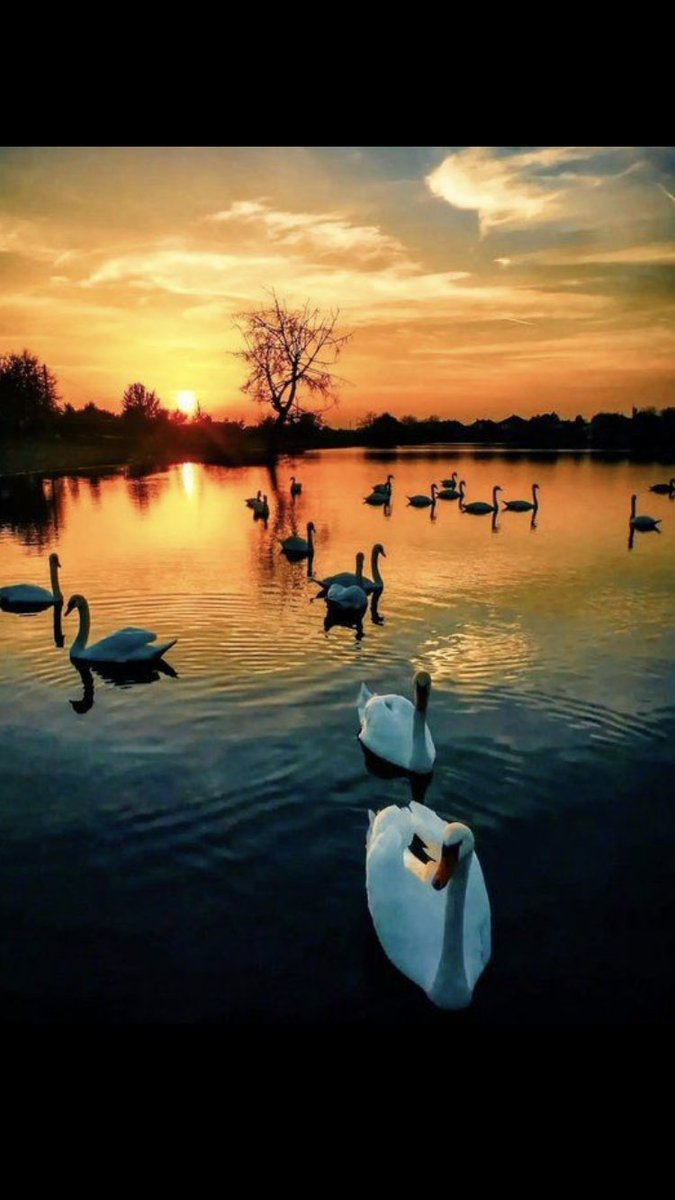 Good morning beautiful people!☕️🥐 Last week of November 2023. Doesn’t time fly! Have a great one &amp; stay safe.