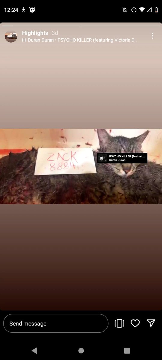 michlovesdy's tweet photo. Get this sick mf off insta, he thinks killing fucking cats is good, report him as much as possible his user is @/8884zack nd he also has a telegram
#animalkilling #AnimalAbuse #catabuser https://t.co/NQ0NaNMiPn