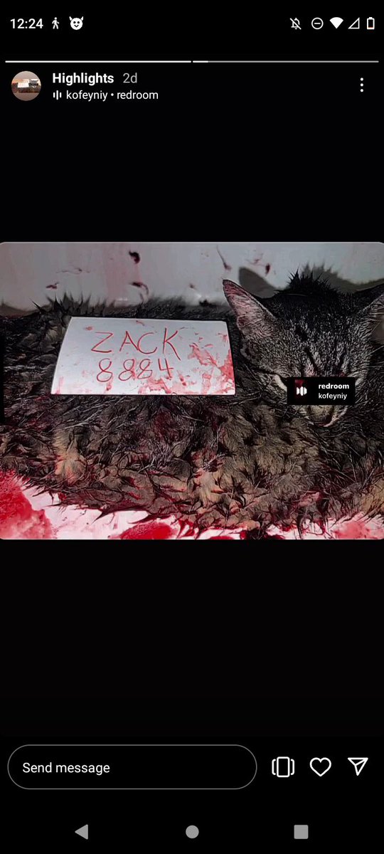 michlovesdy's tweet photo. Get this sick mf off insta, he thinks killing fucking cats is good, report him as much as possible his user is @/8884zack nd he also has a telegram
#animalkilling #AnimalAbuse #catabuser https://t.co/NQ0NaNMiPn